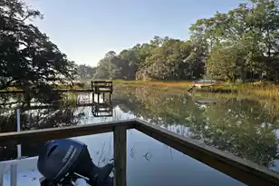 1313 Salt Marsh Cove, Charleston, SC 29412 - Photo 5