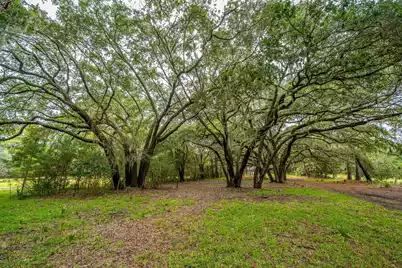 8737 Peters Point Road, Edisto Island, SC 29438 - Photo 13