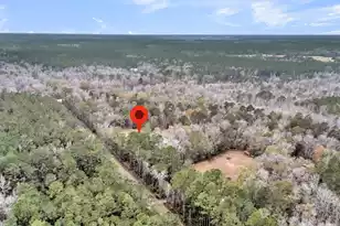 334 Shoptaw Rd, Holly Hill, SC 29059 - Photo 57