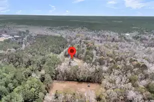 334 Shoptaw Rd, Holly Hill, SC 29059 - Photo 55