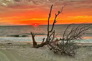 19 Lost Village Trail, Edisto Beach, SC 29438 - Photo 71