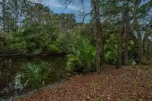 1561 Montclair St, Charleston, SC 29407 - Photo 49