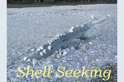 713 Sandpiper Ridge Road, Edisto Island, SC 29438 - Photo 21