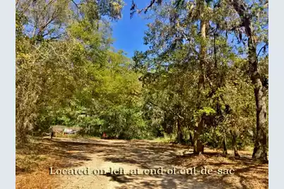 713 Sandpiper Ridge Road, Edisto Island, SC 29438 - Photo 3