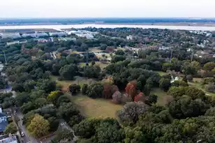 11 Dewey St, Charleston, SC 29403 - Photo 41