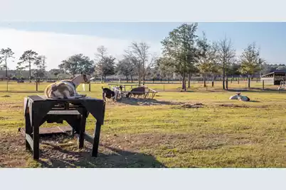 8035 Jack Island Drive, Johns Island, SC 29455 - Photo 59