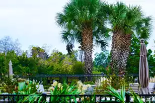 113 Plaza Ct Ct N, Mount Pleasant, SC 29464 - Photo 21