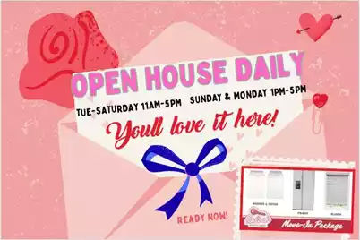 398 Painted Lady Lane, Goose Creek, SC 29445 - Photo 5