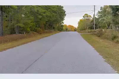 00 Tyler Road, Orangeburg, SC 29115 - Photo 3