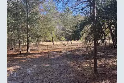 00 Tyler Road, Orangeburg, SC 29115 - Photo 11