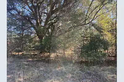 00 Tyler Road, Orangeburg, SC 29115 - Photo 15