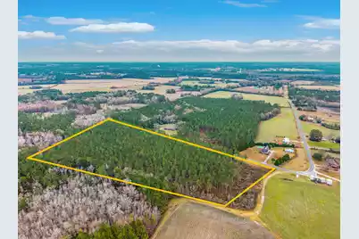 00 Shuler Belt Road, Holly Hill, SC 29059 - Photo 11