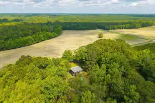 8019 Brewington Road S, Manning, SC 29102 - Photo 31