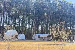 28 Sassafras Ct, Walterboro, SC 29488 - Photo 53