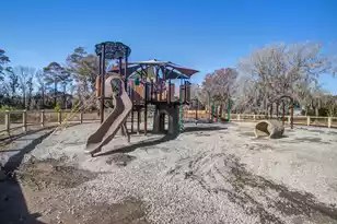 11 Stutz Ct, Charleston, SC 29414 - Photo 39
