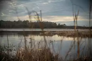 19 Middleton Oaks Rd, Charleston, SC 29414 - Photo 39