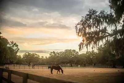 19 Middleton Oaks Road, Charleston, SC 29414 - Photo 45