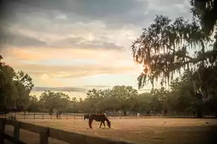 19 Middleton Oaks Rd, Charleston, SC 29414 - Photo 45