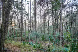 19 Middleton Oaks Rd, Charleston, SC 29414 - Photo 35