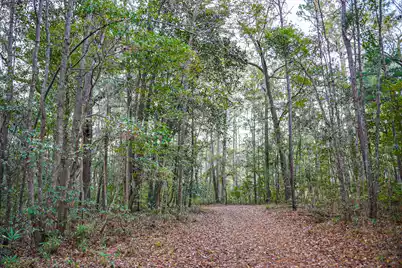 19 Middleton Oaks Road, Charleston, SC 29414 - Photo 37