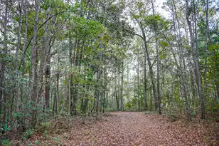 19 Middleton Oaks Rd, Charleston, SC 29414 - Photo 37