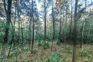 19 Middleton Oaks Rd, Charleston, SC 29414 - Photo 29