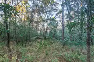 19 Middleton Oaks Rd, Charleston, SC 29414 - Photo 27