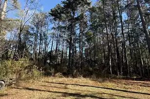 0 Almond Ct, Summerville, SC 29483 - Photo 3