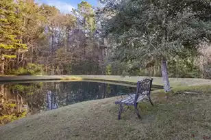 3031 Ellington Dr, Summerville, SC 29485 - Photo 39