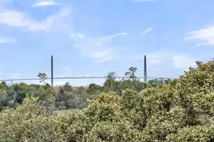 1970 Bellona St, Charleston, SC 29492 - Photo 3