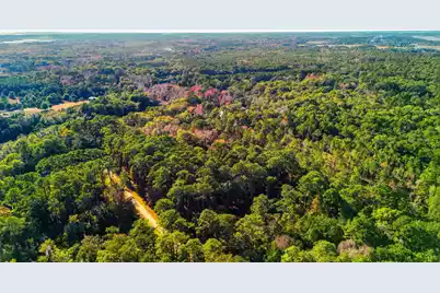 7787 Chaplin Garden Lane, Edisto Island, SC 29438 - Photo 13