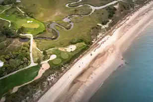 61 Ocean Point Dr, Isle Of Palms, SC 29451 - Photo 61