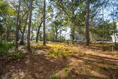 6040 Honey Hole Haven Road, Johns Island, SC 29455 - Photo 9