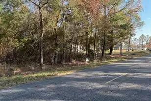 0 Wilson Landing Rd, Cross, SC 29436 - Photo 1