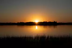 122 Fairbanks Dr, Charleston, SC 29492 - Photo 7