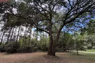 9715 2 Pines Rd, McClellanville, SC 29458 - Photo 49