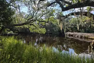 9715 2 Pines Rd, McClellanville, SC 29458 - Photo 5