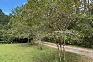 9715 2 Pines Rd, McClellanville, SC 29458 - Photo 47