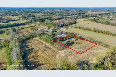 113 Sandy Branch Road, Saint George, SC 29477 - Photo 3