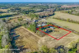 113 Sandy Branch Rd, Saint George, SC 29477 - Photo 3