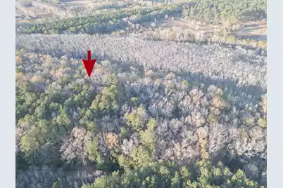 0 Allen Lane, Walterboro, SC 29488 - Photo 9