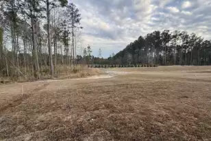 5246 Cottage Lndg Dr, Summerville, SC 29485 - Photo 29