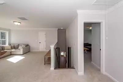 335 Hillman Trail Drive Drive, Moncks Corner, SC 29461 - Photo 27