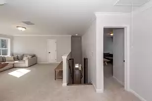 335 Hillman Trail Dr Dr, Moncks Corner, SC 29461 - Photo 27