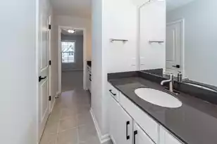 335 Hillman Trail Dr Dr, Moncks Corner, SC 29461 - Photo 29