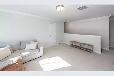 335 Hillman Trail Drive Drive, Moncks Corner, SC 29461 - Photo 25