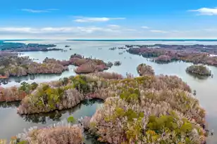 12785 Old Number Six Hwy, Eutawville, SC 29048 - Photo 27