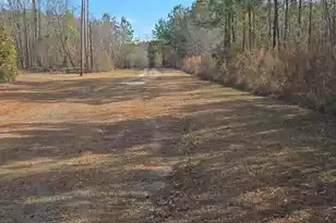 00 Primus Dr, Saint George, SC 29477 - Photo 1