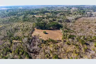 1 Primus Drive, Saint George, SC 29477 - Photo 3