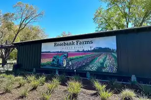 2590 Helmsman Rd, Johns Island, SC 29455 - Photo 63